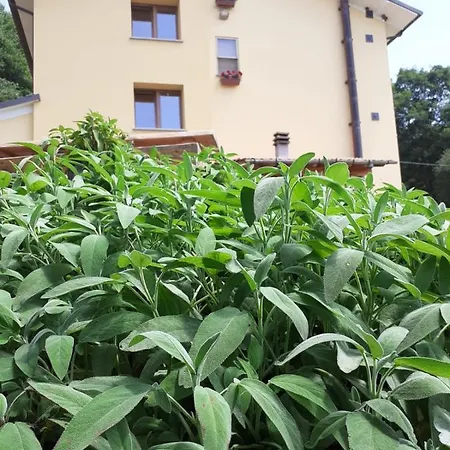 Il Rifugio Nel Comero *