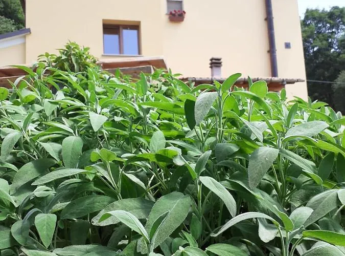 Il Rifugio Nel Comero *